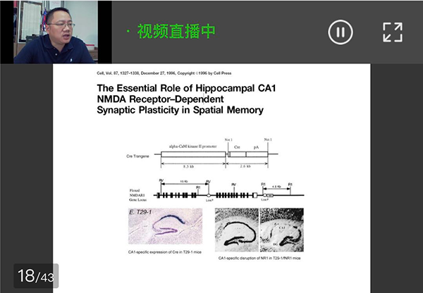 中国实验动物学会动物模型鉴定与评价工作委员会开展“实验动物模型研究和应用系列培训”直播课程