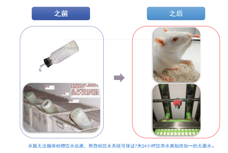 自动饮水系统在实验动物行业的应用