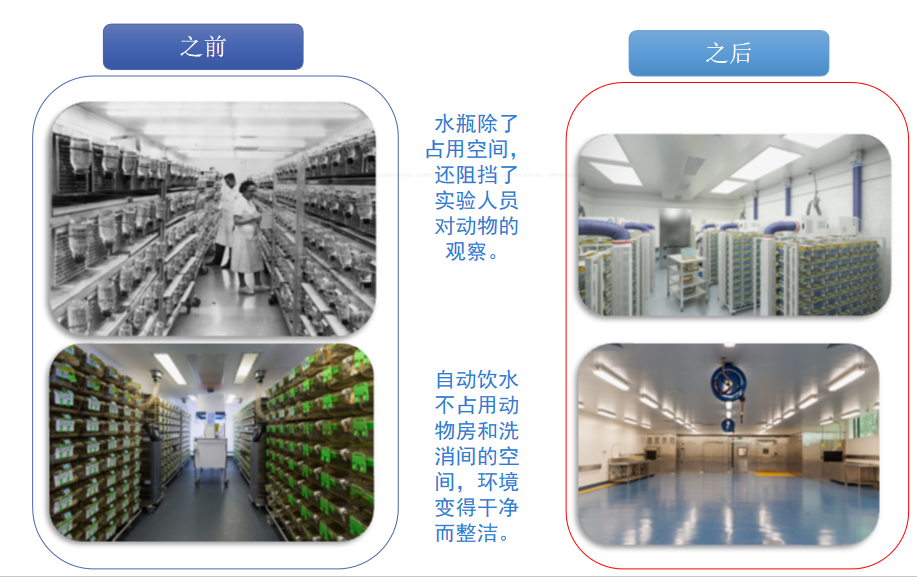 自动饮水系统在实验动物行业的应用