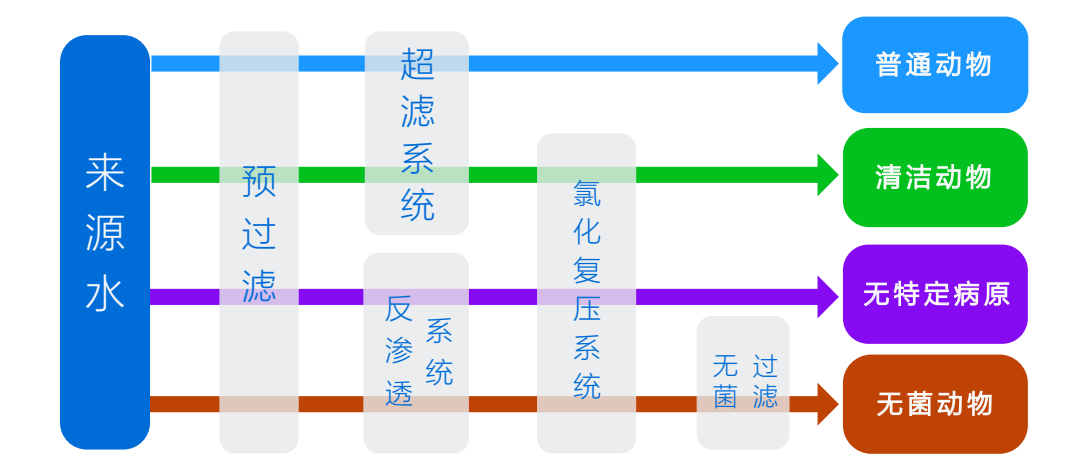 自动饮水系统在实验动物行业的应用