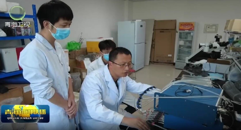 中国科学院西北高原生物研究所曲家鹏教授等发表交通噪声对高原鼠兔影响的研究成果