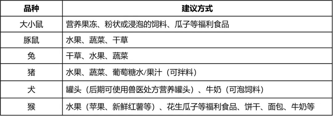 兽医随笔：动物食欲减退（厌食)