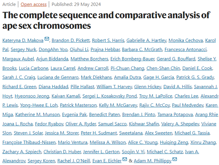 Nature：获得类人猿的完整染色体序列